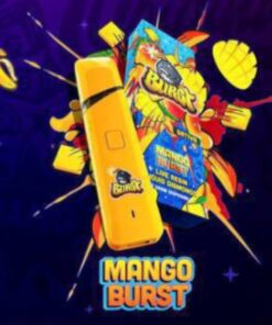 Burst Disposable-Mango Burst