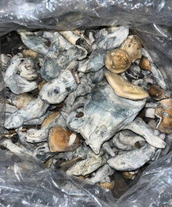 Raw Mushrooms (Bull Run)