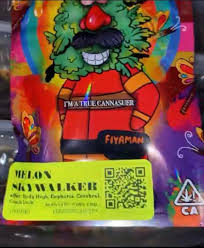 Fiyaman Melon Skywalker
